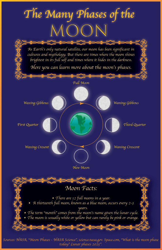 Moon Infographic